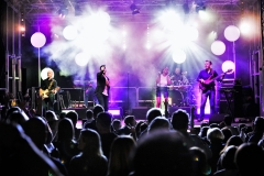 43903473614_e09d728f58_k-1